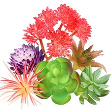 Piante grasse artificiali - , 6