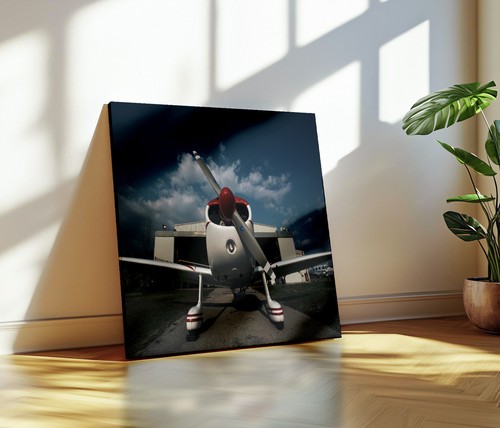 Stampa aereo cap quadro - 10,