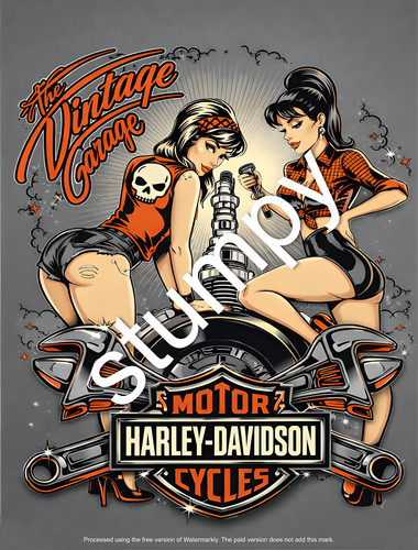 Insegna vintage garage harley - insegna,
