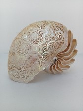 Conchiglia Nautilus intagliata