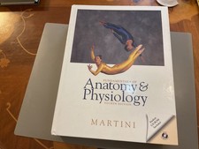Fundamentals of Anatomy &