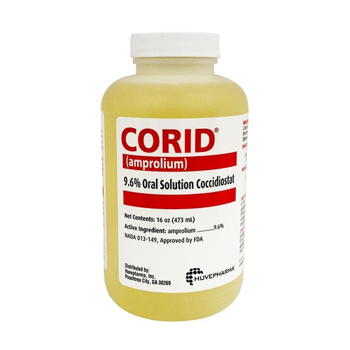 Coccidiostato soluzione orale