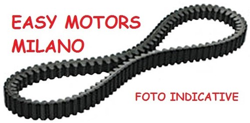 6113396 cinghia trasmissione - 6113396,