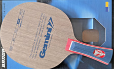 Rarità -- BANDA TT-Holz