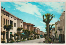 60204 CAMPOSANTO (MODENA) - VIA ROMA - VIAGGIATA