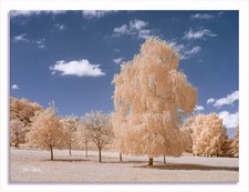 Fotocamera mirrorless IR