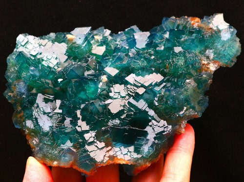 668 esemplare minerale - 668,9,