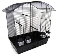 Bird Cage Inseparable Exotic