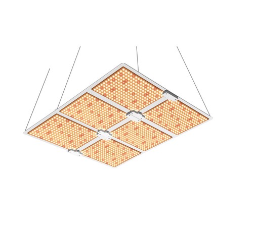 Luce coltivazione alta - luce,