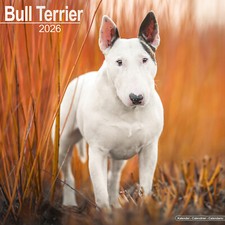 Calendario Bull Terrier 2026 |