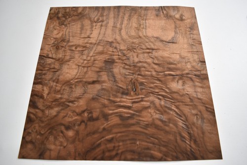 Burr burl noce foglio vero - -,