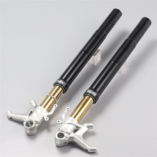 Sospensione forcella anteriore