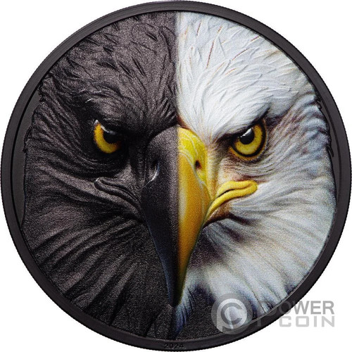 Bald eagle day and - bald, 3