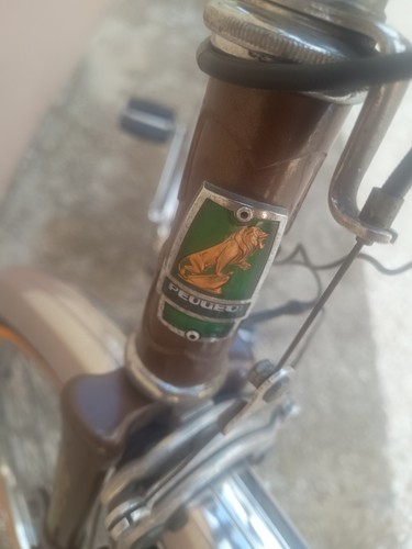 Bicicletta vintage peugeot - vintage,