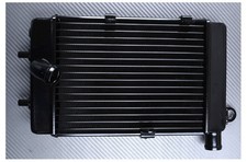 Radiatore Acqua Sinistro