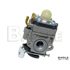 Carburatore Tosasiepi /