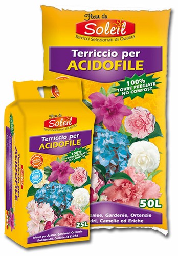 Terriccio per piante - terriccio, acidofile