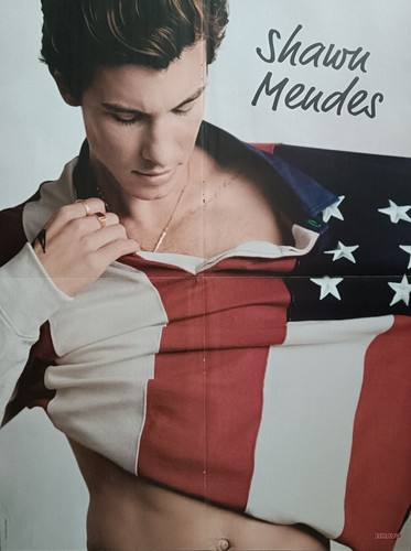 Shawn mendes poster - -,