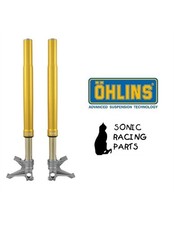 FGR 256 OHLINS FORCELLA ORO