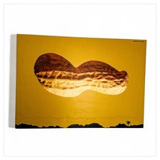 Stampa Armando Testa Nuvola da