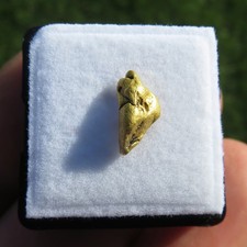 Minerali *** PEPITA d'ORO