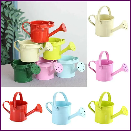 1pz annaffiatoio metallo - annaffiatoio,