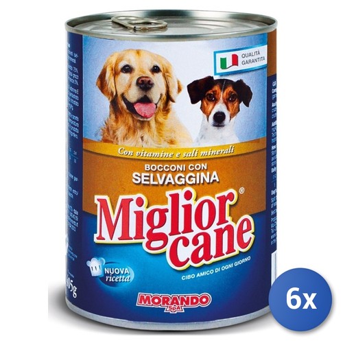 Miglior cane barattolo - 6x, 405