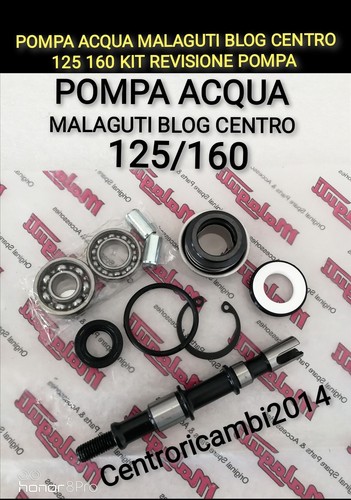 Pompa acqua malaguti - acqua, blog