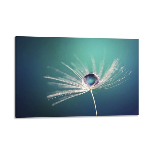 Quadro stampa tela - quadro,