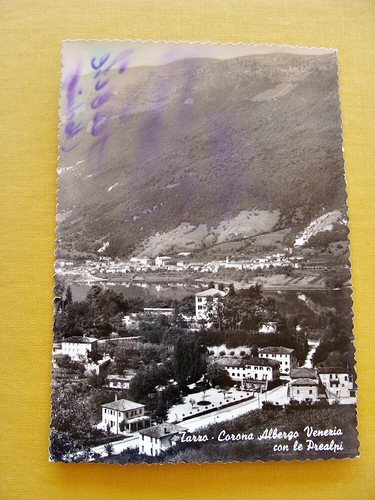 Tarzo corona - (fg.q61),