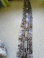 Scampolo di Pelle di PITONE con TESTA cm.120 in Perfetto stato .