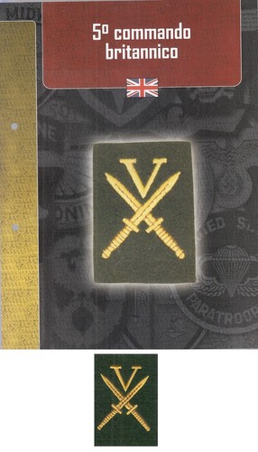 Distintivi militari - cm-,