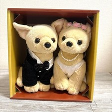 Messaggio Woof: Prim Chihuahua