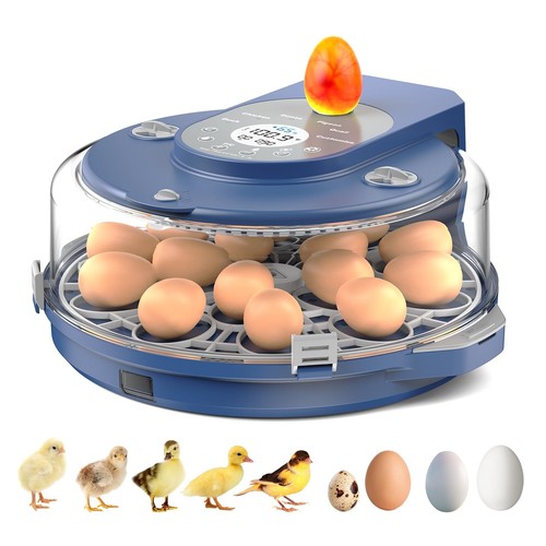 Egg incubator for hatching - incubator,