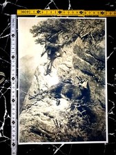 Caccia Vintage Poster