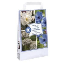 Bulbi fiori assortiti primaverili in Bag - per giardino al sole - 50x Olandesi