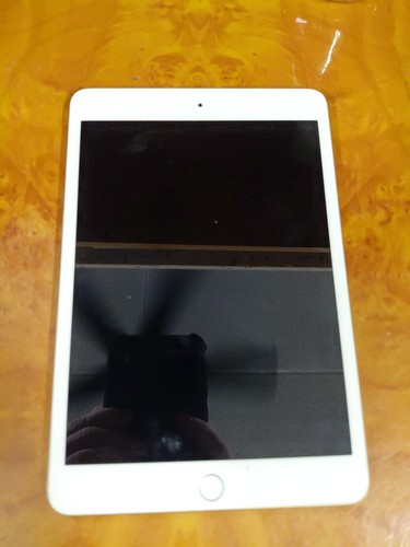 Apple ipad mini modello - ipad,