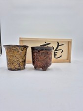 Vaso per bonsai drago &