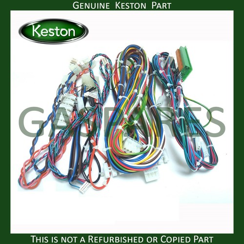Cablaggio keston qudos parte - qudos,