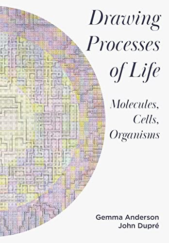 Drawing processes of life - processes,