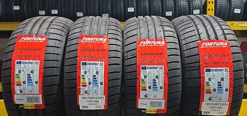 Gomme invernali fortuna - gomme,