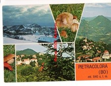 1979 PIETRACOLORA  BOLOGNA  BOLETI PORCINI FUNGHI PILZ  CHAMPIGNON PAESAGGI NEVE