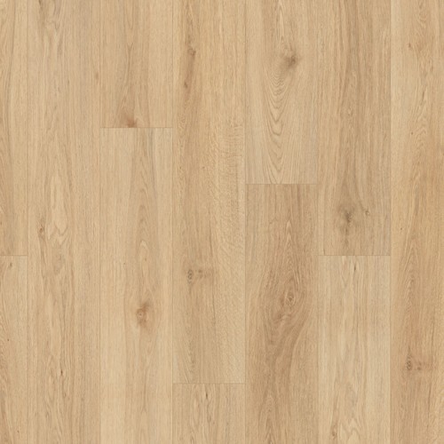 Coretec vv017 01020 - vv017-01020, pro
