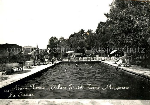 Abano terme palace hotel - abano,