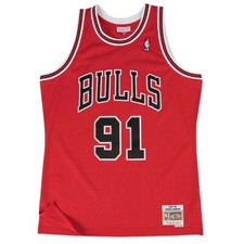 Canotta rodman Chicago Bulls