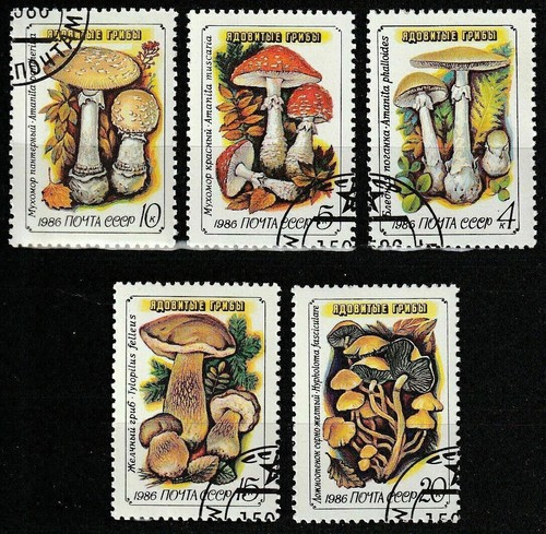 Funghi set completo 1986 urss - set,