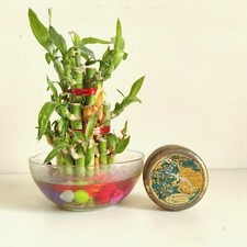 Scatola Rotonda In Latta