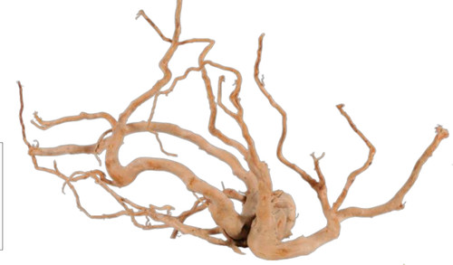 Red wood oltre - –, legno