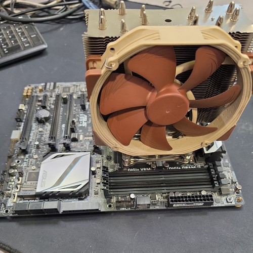 Kit scheda madre asus - ,