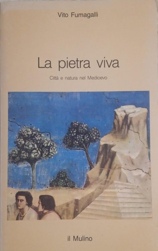 Pietra viva città - pietra, viva.